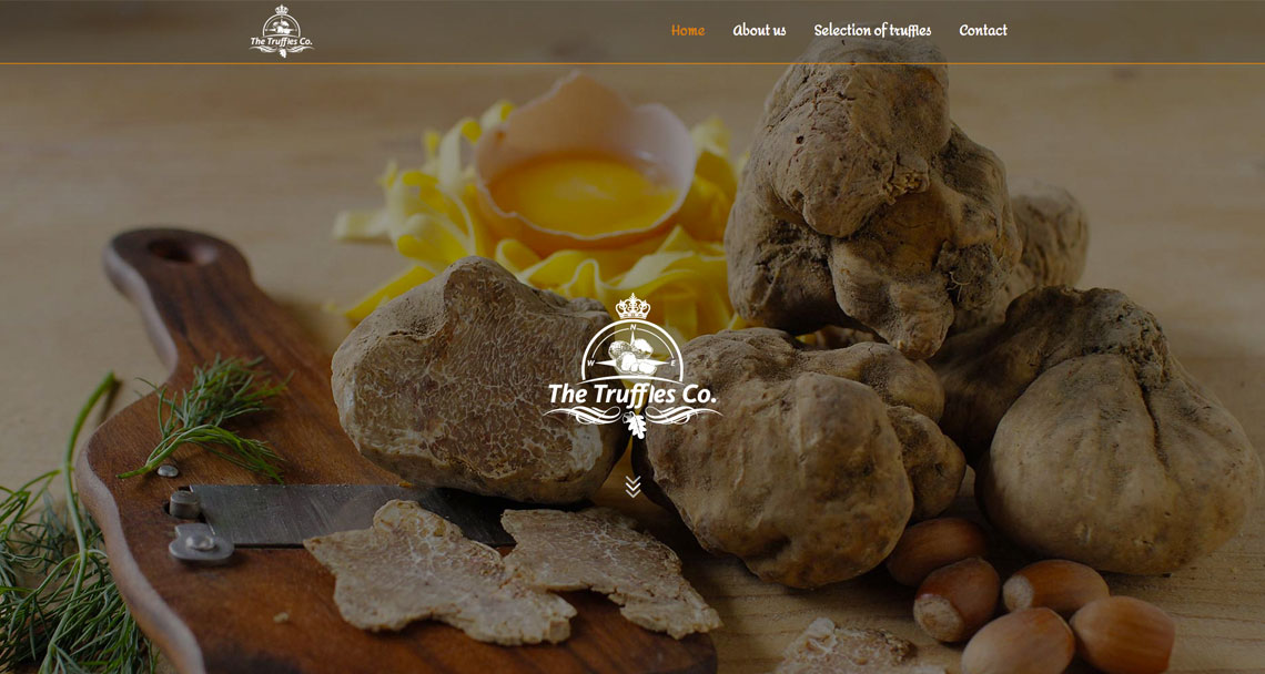 Zea Stim R&D - Izrada web sajta - The Truffles Co.